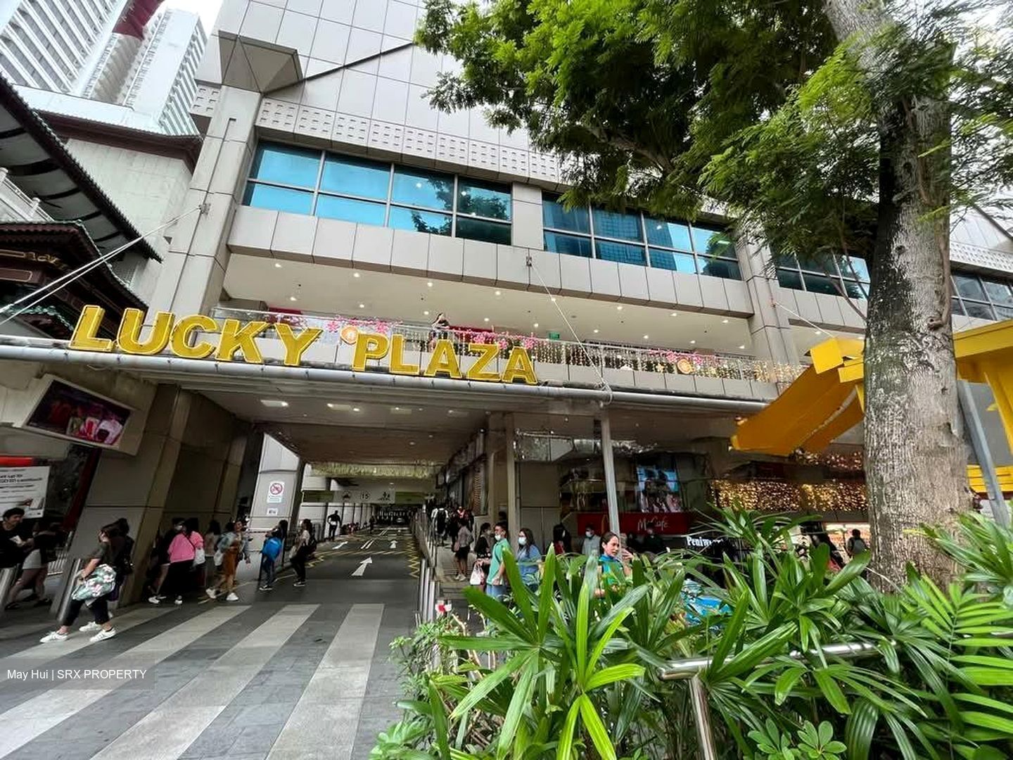 Lucky Plaza (D9), Retail #551430661